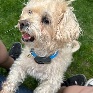 adrianna ha añadido una foto de su compra