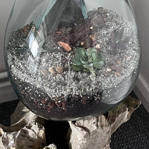James added a photo of their purchase