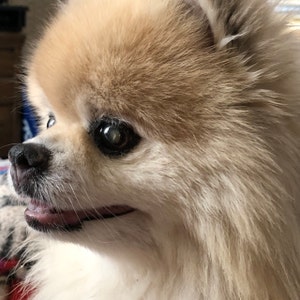 Barbara added a photo of their purchase