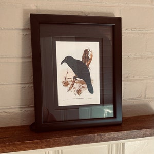 Leah added a photo of their purchase