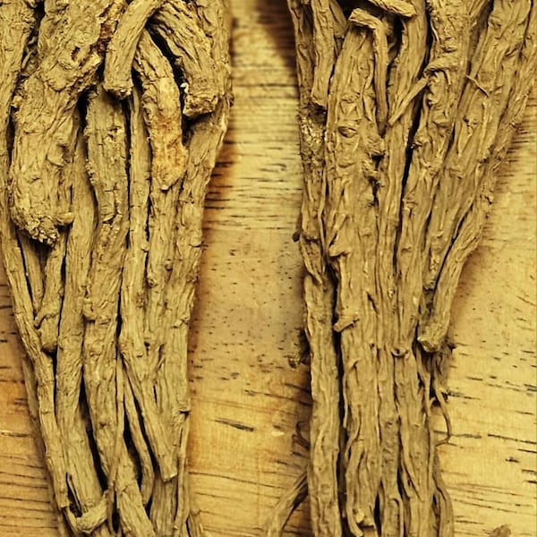 Master Root Real Root Master Root - Etsy
