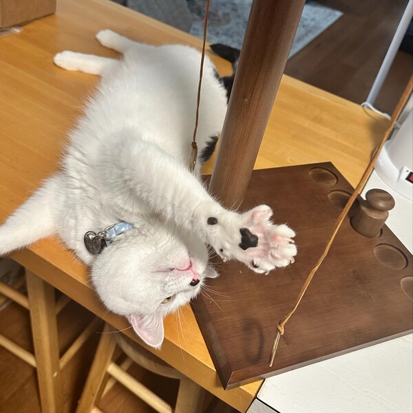 Bamboo Ring on a String Game Ring. Toss Game for Adults & Family Hook ...