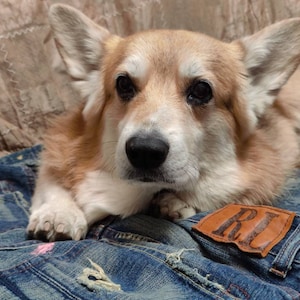 Vintage 90s Theological Seminary Jacket Vintage 90s Button Ups Theological Seminary Jacket Size XL