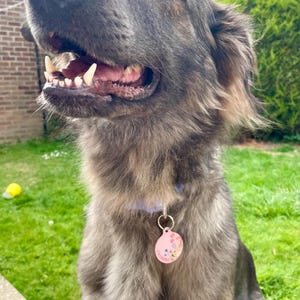 gemma heeft een foto van de aankoop toegevoegd