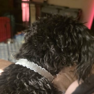 Kaylee added a photo of their purchase