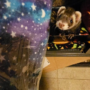 Mindy ha añadido una foto de su compra