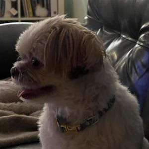 Comprador de Etsy ha añadido una foto de su compra