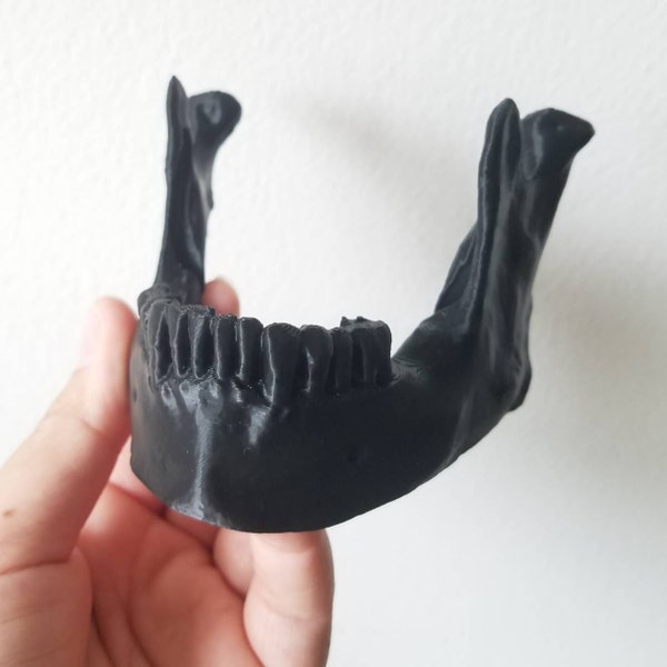 Black Jaw Bone Stand - Business Card, Phone and E-reader Holder - Lower ...