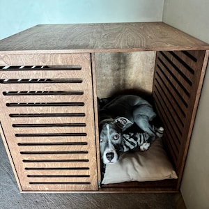 Molly heeft een foto van de aankoop toegevoegd