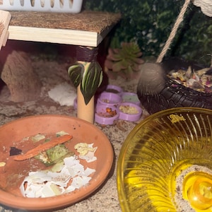 Carrie added a photo of their purchase