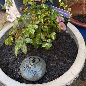 Louise added a photo of their purchase