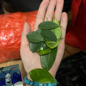 Comprador de Etsy ha añadido una foto de su compra