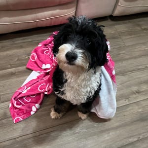 Amy added a photo of their purchase