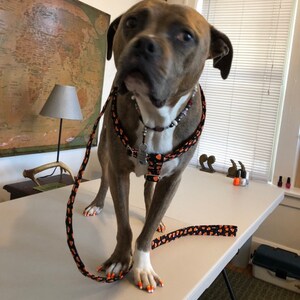 Add a Matching Dog Harness Girl or Boy Dog Harness Small or