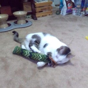 Sharel added a photo of their purchase