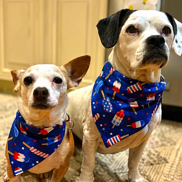 wainwrights dog bow tie