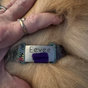 Amy added a photo of their purchase