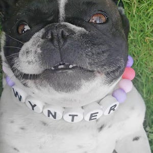 Patricia heeft een foto van zijn/haar aankoop toegevoegd