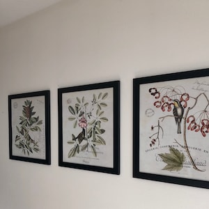 Acquirente Etsy ha aggiunto una foto del proprio acquisto