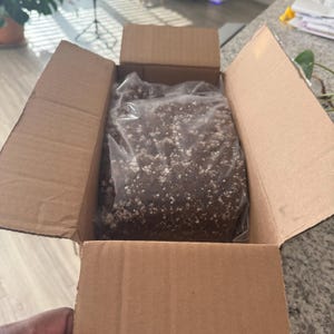 estella added a photo of their purchase