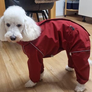 Sandra ha añadido una foto de su compra