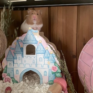 Philip added a photo of their purchase