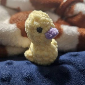 Lindsey ha añadido una foto de su compra