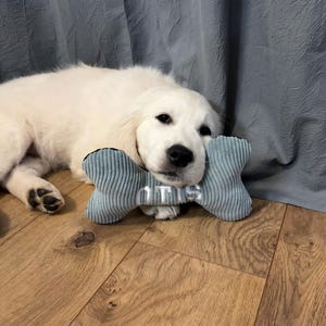 Allie a ajouté une photo de son achat