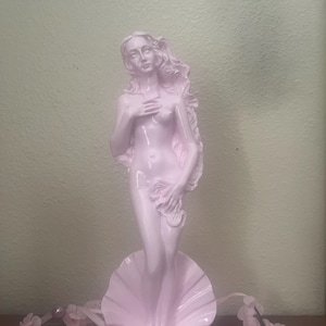 Roxie added a photo of their purchase