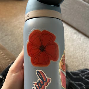 Denied Circle Car Window Bumper Water Bottle Phone Tablet Laptop Waterproof Vinyl Decal Sticker Set 5 Pack Gloss Finish 4 0