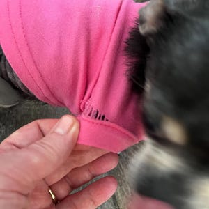 Holly added a photo of their purchase