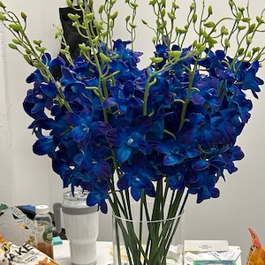 Alexandra added a photo of their purchase