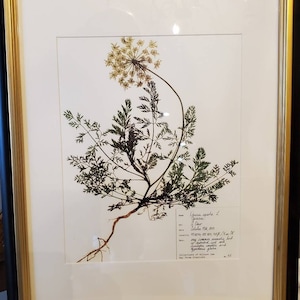Madame added a photo of their purchase