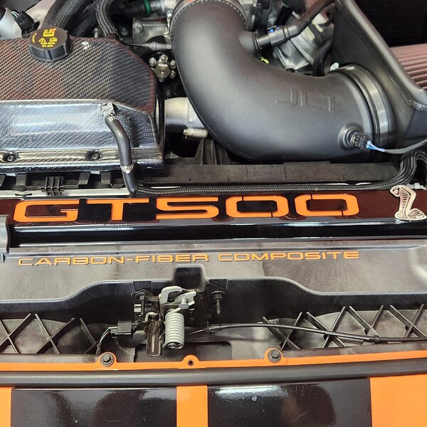 2016-2022 GT500 / GT350 RADIATOR COVER PLATE White and Blue Metallic - Etsy