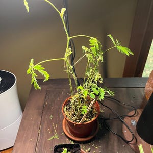 Leonarda added a photo of their purchase