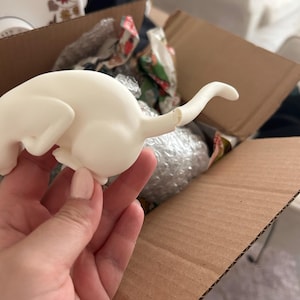 Charlotte added a photo of their purchase