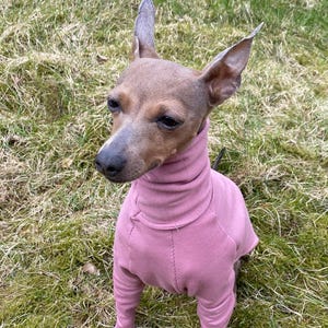 Kaisa added a photo of their purchase