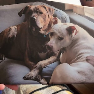 Nancy added a photo of their purchase