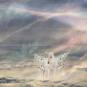 Gena dodał(a) zdjęcie swoich zakupów