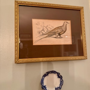 Arianna added a photo of their purchase