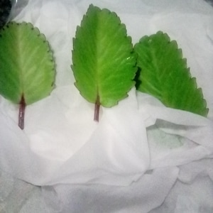 Carolyn ha añadido una foto de su compra