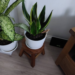Lesley added a photo of their purchase