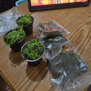 Ruben added a photo of their purchase