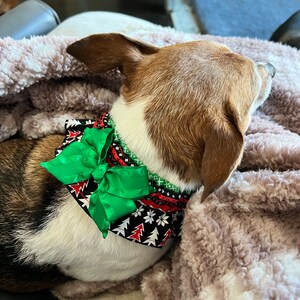 Dog Ruffle Collar Vintage Floral on Teal Dog Scrunchie - Etsy