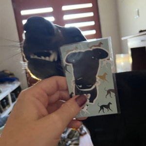 Alice added a photo of their purchase