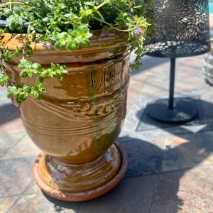 Mrs added a photo of their purchase