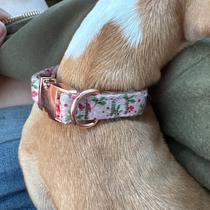 kelly added a photo of their purchase