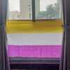 Polysexual Pride Flag Large Premium Quality Poly Flag 5ft X - Etsy UK