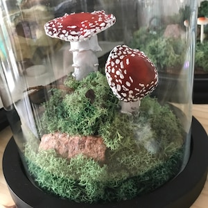 Dubus added a photo of their purchase