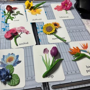 Flowers Toob - Safari LTD Identification Cards - Etsy